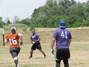 OTFL Gallery Image